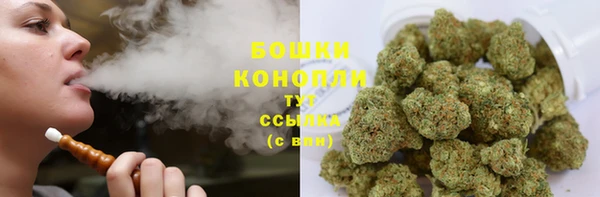 PSILOCYBIN Балахна