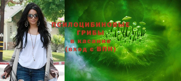 PSILOCYBIN Балахна