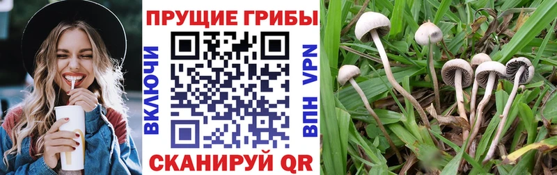Псилоцибиновые грибы Magic Shrooms  гидра ССЫЛКА  Козьмодемьянск  мориарти формула  купить наркотики сайты 